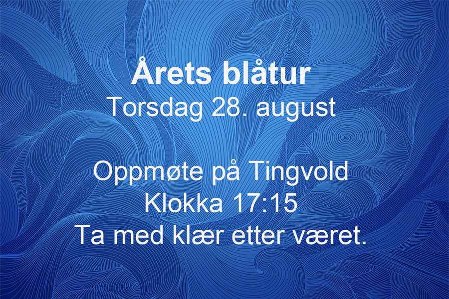 BLÅTUR 2025